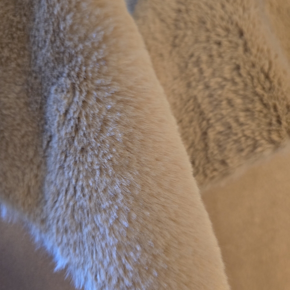Cozy Tan Teddy Jacket with Faux Fur Collar - Picture 6 of 7